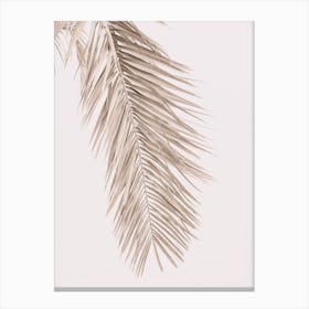 Neutral Palm 2 Canvas Print
