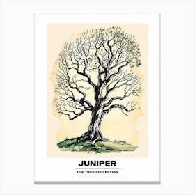 Juniper Tree Storybook Illustration 1 Poster Canvas Print