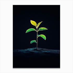 Image Of A Young Plant Canvas Print