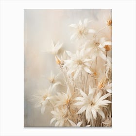 Boho Dried Flowers Edelweiss 2 Canvas Print