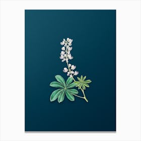 Vintage Half Shrubby Lupine Flower Botanical Art on Teal Blue n.0692 Canvas Print