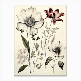 Flowers In Black And White 1 Canvas Print