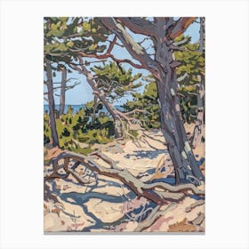 Pine Trees On The Beach Canvas Print