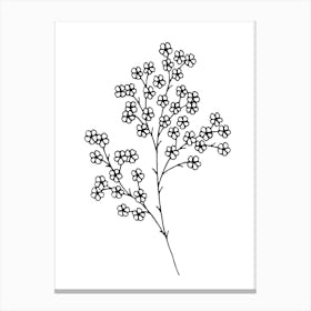 Black And White Drawing Of A Flower Canvas Print