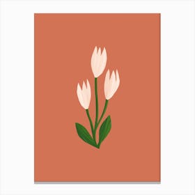 White Tulips Canvas Print
