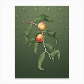 Vintage Peach Botanical on Lunar Green Pattern n.0665 Canvas Print