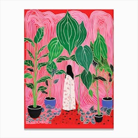 Pink And Red Plant Illustration Chinese Evergreen 5 Canvas Print