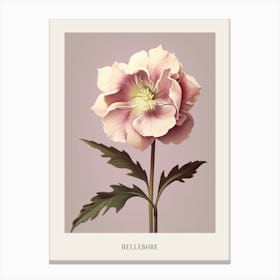 Floral Illustration Hellebore 1 Poster Canvas Print