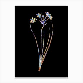 Stained Glass Rush Daffodil Mosaic Botanical Illustration on Black n.0017 Canvas Print