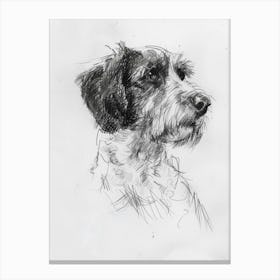 Otterhound Dog Charcoal Line 1 Canvas Print