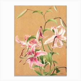 Vintage Lilies Canvas Print