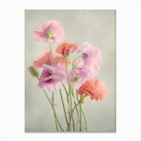 Sweet Pea Flowers Acrylic Painting In Pastel Colours 4 Canvas Print