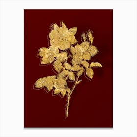 Vintage Twin Flowered White Rose Botanical in Gold on Red n.0364 Canvas Print
