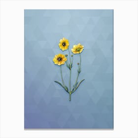 Vintage Perennial Dyer's Coreopsis Botanical Art on Summer Song Blue n.0346 Canvas Print