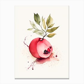 Pomegranate Herb Minimalist Watercolour 2 Canvas Print