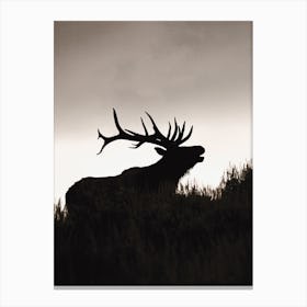 Elk Silhouette At Dusk Canvas Print