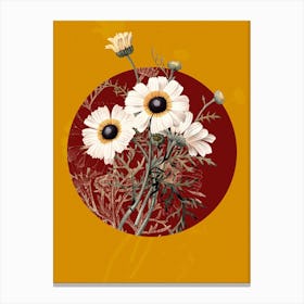 Vintage Botanical Chrysanthemum Chrysanthemum Carinatum on Circle Red on Yellow n.0045 Canvas Print