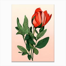 Red Tulip 2 Canvas Print