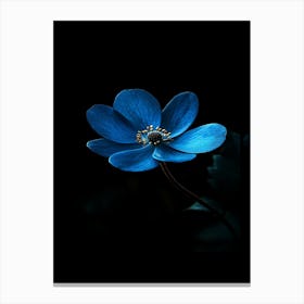 Blue Flower 7 Canvas Print