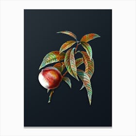 Vintage Peach Botanical Watercolor Illustration on Dark Teal Blue n.0703 Canvas Print