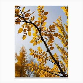 Autumn Leaves Photo Canvas Print