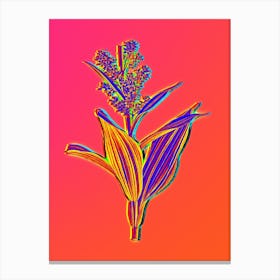 Neon False Helleborine Botanical in Hot Pink and Electric Blue n.0116 Canvas Print