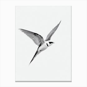 Swallow B&W Pencil Drawing 3 Bird Canvas Print