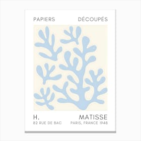 Matisse 35 Canvas Print