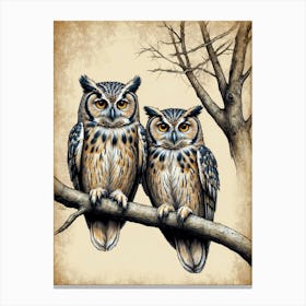 Owls On A Branch 1 Canvas Print