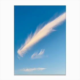 Cloud In The Sky Canvas Print