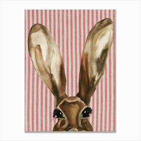 Nursery Hare Watercolour Illustration Pink Canvas Print