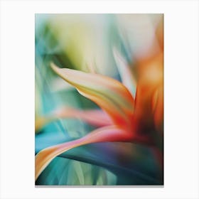 Bird Of Paradise Canvas Print