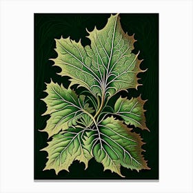 Siberian Ginseng Leaf Vintage Botanical 1 Canvas Print