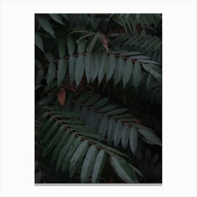 Dark Leaves In The Forest Vertical Canvas Print