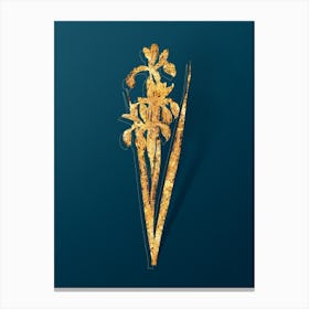 Vintage Blue Iris Botanical in Gold on Teal Blue n.0029 Canvas Print