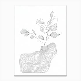 Plant In A Vase Canvas Print