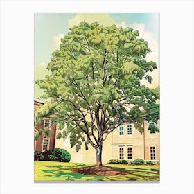 Pecan Tree Storybook Illustration 2 Canvas Print