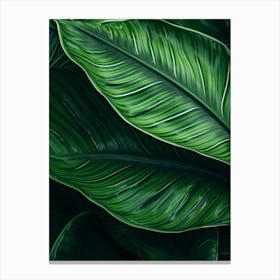 Green Leaf Background Canvas Print