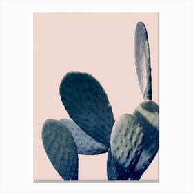 Cactus I Canvas Print