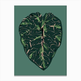 The Plant Series Alocasia Melo Dark Canvas Print