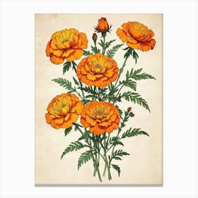 Carnations Canvas Print