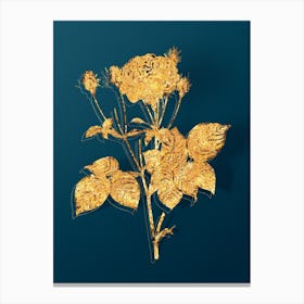 Vintage Pink French Roses Botanical in Gold on Teal Blue n.0084 Canvas Print