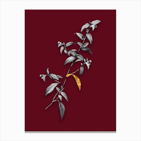 Vintage Birdbill Dayflower Black and White Gold Leaf Floral Art on Burgundy Red n.1099 Canvas Print