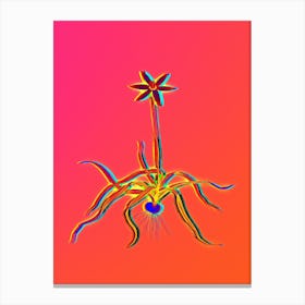 Neon Hypoxis Stellata Botanical in Hot Pink and Electric Blue n.0006 Canvas Print