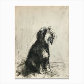  Bearded Collie Dog Charcoal Line 2 Canvas Print