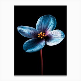 Blue Flower 12 Canvas Print