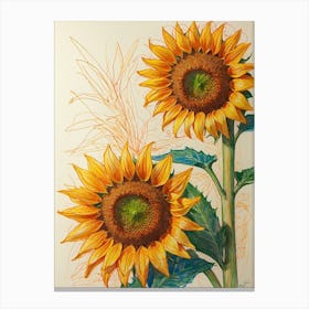 Sunflowers 11 Canvas Print