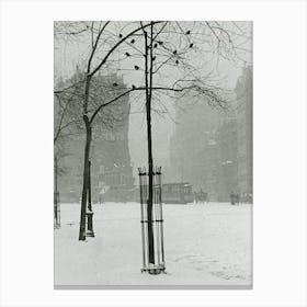 Tree In Snow, New York City (1900–1902), Alfred Stieglitz Canvas Print