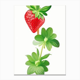 June Bearing Strawberries, Plant, Marker Art Illustration 2 Canvas Print