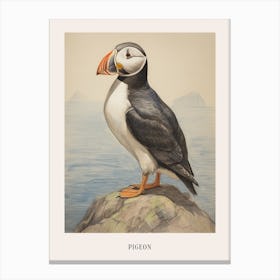 Vintage Bird Drawing Pigeon 7 Poster Canvas Print